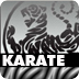 Karate und Kampfkunst