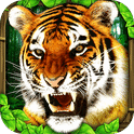 老虎模拟器 Tiger Simulator