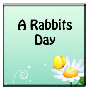 A Rabbits Day