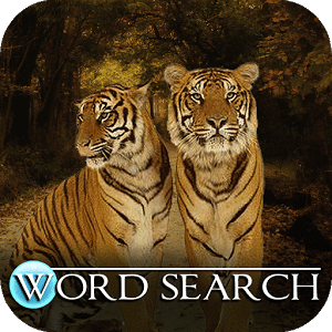 Word Search: Cat Tailz