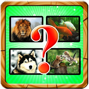 Guess Animal Kingdom