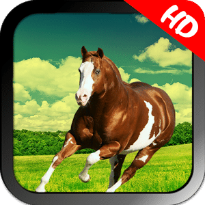 Horse Simulator 2017