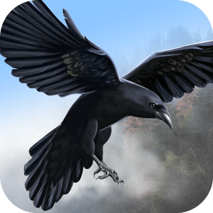 Wild Life: Flying Crow Sim