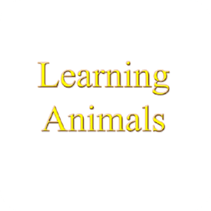 Animal Names Learning