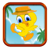 Tweety-Flap Training