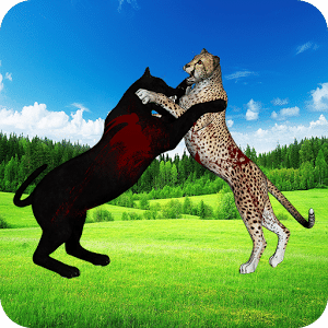 Cheetah Panther Safari Hunting