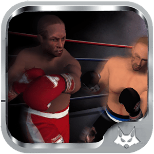 Boxing Knockout