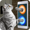 Real Portal Cat Simulator Prank
