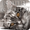 Quiz de culture générale sur les chats