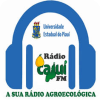 Rádio Cajuí