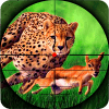 Cheetah Hunter 2016 - 猎豹猎人