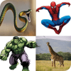 Scratch & Guess the Super Heroes, Movies, Animals