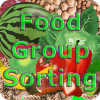 Food Group Sorting for Kids