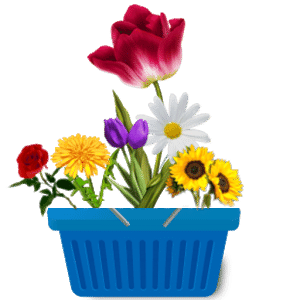 Flower Basket