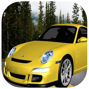Race 911 GT3 Simulator