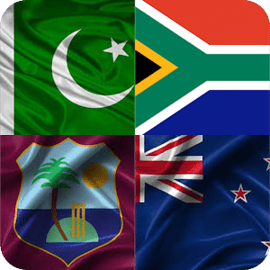 Guess country flag (world hardest game)