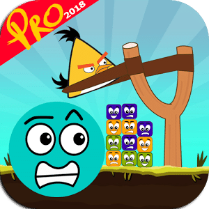 Knock Down 2018/Pro