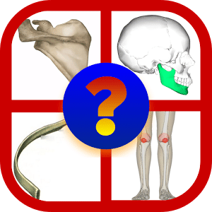 BONES Anatomy Quiz Trivia