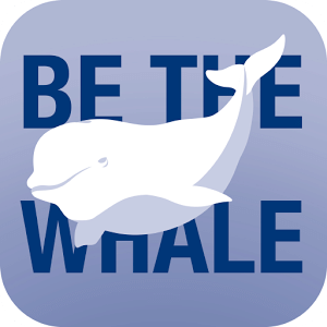 Be the Whale Beluga