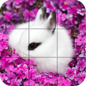 Puzzle - Cute bunnies