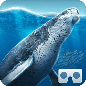 SeaWorld VR2