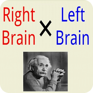 左，右大腦