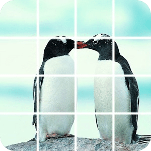 企鹅拼图