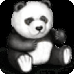 Cute Panda Break