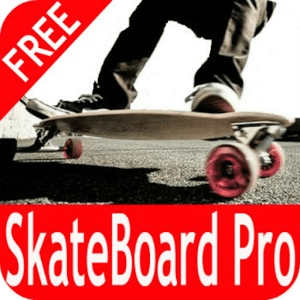 Skateboard pro 滑板王