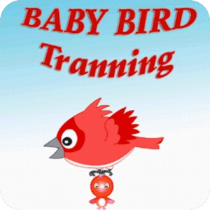 Baby bird training