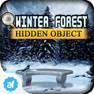 Hidden Object Winter Forest