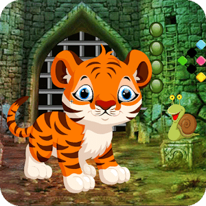 Cute Tiger Cub Rescue Best Escape Game-313