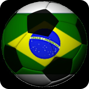 Brazil Soccer Fan