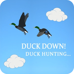 Duck Down! - Duck Hunting