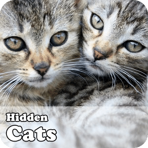 Hidden Object Games - Cats