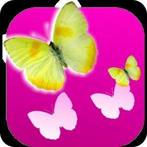 Butterflies Memory Game