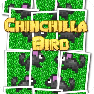 Chinchilla Bird