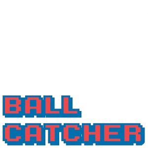 Ball Catcher 2014