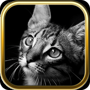 Free Cute Cats Puzzles