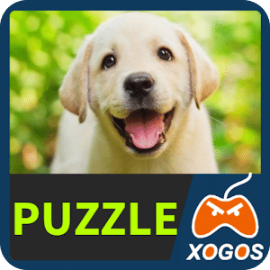Labrador Retriever Dog Puzzle