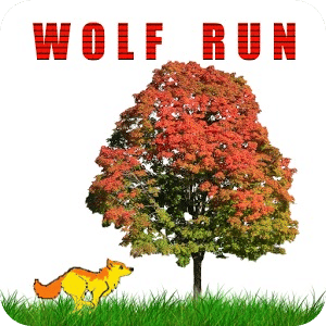 Animal Run Wolf Run