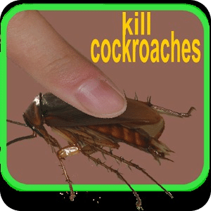 kill cockroaches
