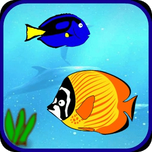 Cute Fish Games Free