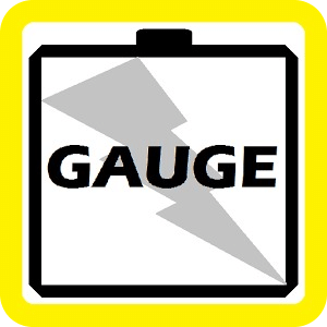 Gauge