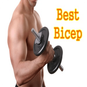 Bodybuilding -Biceps Workout