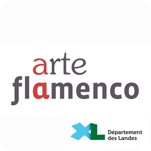 Festival Arte Flamenco