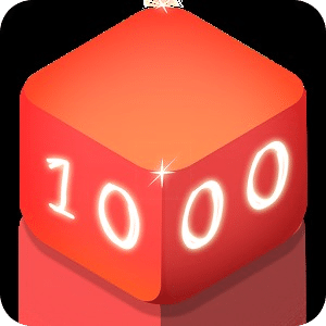 1000! Puzzle