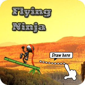 Flying Ninja