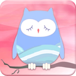 Super owl - Beta Version
