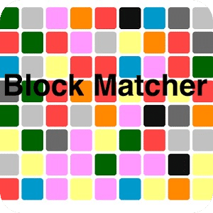 Block Matcher